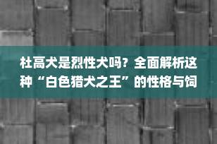 杜高犬是烈性犬吗？全面解析这种“白色猎犬之王”的性格与饲养须知