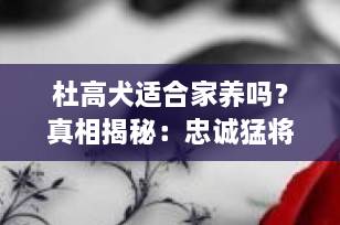 杜高犬适合家养吗？真相揭秘：忠诚猛将还是家庭隐患？