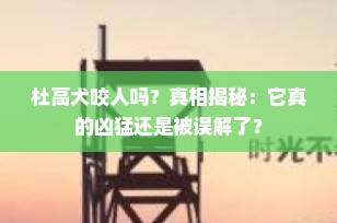 杜高犬咬人吗？真相揭秘：它真的凶猛还是被误解了？