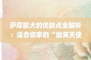 萨摩耶犬的优缺点全解析：适合你家的“微笑天使”吗？