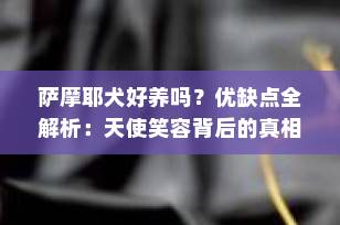 萨摩耶犬好养吗？优缺点全解析：天使笑容背后的真相