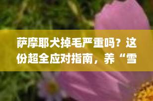 萨摩耶犬掉毛严重吗？这份超全应对指南，养“雪橇神兽”的你必须收藏！