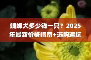 蝴蝶犬多少钱一只？2025年最新价格指南+选购避坑全攻略