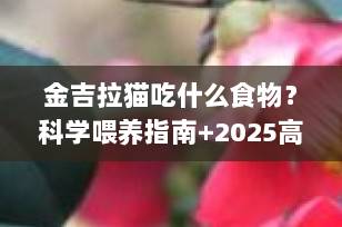 金吉拉猫吃什么食物？科学喂养指南+2025高口碑猫粮推荐（附饮食禁忌）