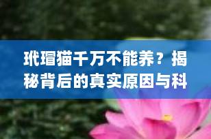 玳瑁猫千万不能养？揭秘背后的真实原因与科学真相