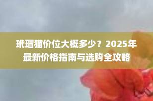 玳瑁猫价位大概多少？2025年最新价格指南与选购全攻略