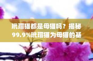 玳瑁猫都是母猫吗？揭秘99.9%玳瑁猫为母猫的基因奥秘