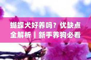 蝴蝶犬好养吗？优缺点全解析｜新手养狗必看指南（2025最新）