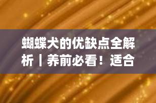 蝴蝶犬的优缺点全解析｜养前必看！适合新手吗？