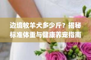 边境牧羊犬多少斤？揭秘标准体重与健康养宠指南（2025最新版）