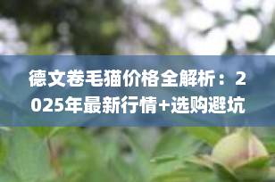 德文卷毛猫价格全解析：2025年最新行情+选购避坑指南（新手必看）