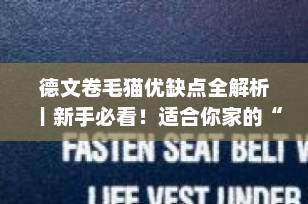 德文卷毛猫优缺点全解析｜新手必看！适合你家的“小精灵”吗？