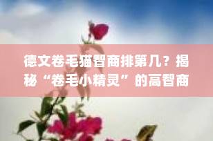 德文卷毛猫智商排第几？揭秘“卷毛小精灵”的高智商真相！