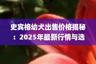史宾格幼犬出售价格揭秘：2025年最新行情与选购指南