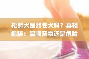 松狮犬是烈性犬吗？真相揭秘：温顺宠物还是危险烈犬？