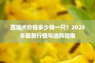 西施犬价格多少钱一只？2025年最新行情与选购指南
