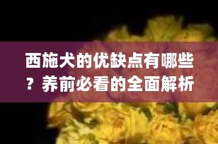 西施犬的优缺点有哪些？养前必看的全面解析，助你决定是否适合饲养！