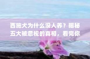 西施犬为什么没人养？揭秘五大被忽视的真相，看完你还敢养吗？