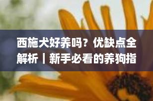 西施犬好养吗？优缺点全解析｜新手必看的养狗指南