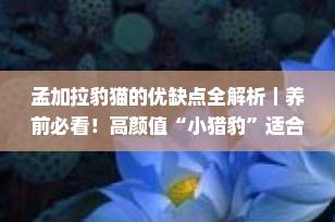 孟加拉豹猫的优缺点全解析｜养前必看！高颜值“小猎豹”适合你家吗？