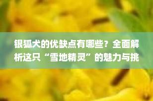 银狐犬的优缺点有哪些？全面解析这只“雪地精灵”的魅力与挑战（2025最新指南）