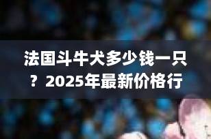 法国斗牛犬多少钱一只？2025年最新价格行情全解析（附购买避坑指南）