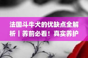 法国斗牛犬的优缺点全解析｜养前必看！真实养护经验分享（2025最新版）