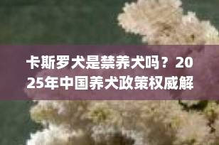 卡斯罗犬是禁养犬吗？2025年中国养犬政策权威解读