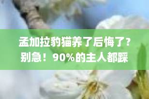 孟加拉豹猫养了后悔了？别急！90%的主人都踩过的坑，看完再决定