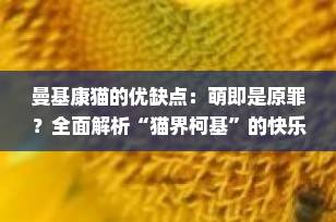 曼基康猫的优缺点：萌即是原罪？全面解析“猫界柯基”的快乐与代价