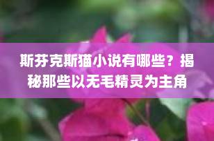 斯芬克斯猫小说有哪些？揭秘那些以无毛精灵为主角的奇幻故事