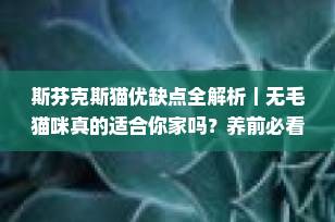 斯芬克斯猫优缺点全解析｜无毛猫咪真的适合你家吗？养前必看！