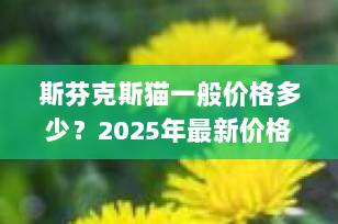 斯芬克斯猫一般价格多少？2025年最新价格指南全解析