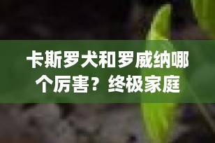 卡斯罗犬和罗威纳哪个厉害？终极家庭护卫犬深度对比，看完再选不后悔！