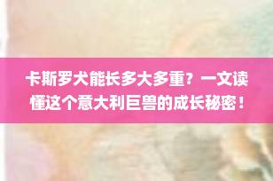 卡斯罗犬能长多大多重？一文读懂这个意大利巨兽的成长秘密！