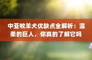 中亚牧羊犬优缺点全解析：温柔的巨人，你真的了解它吗？