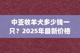 中亚牧羊犬多少钱一只？2025年最新价格行情与选购全攻略