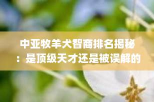 中亚牧羊犬智商排名揭秘：是顶级天才还是被误解的“高冷”护卫？