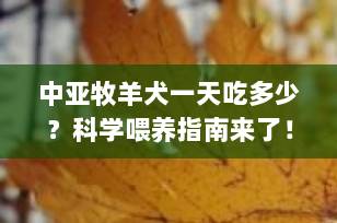中亚牧羊犬一天吃多少？科学喂养指南来了！（2025最新版）