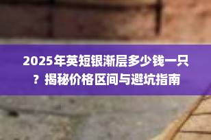 2025年英短银渐层多少钱一只？揭秘价格区间与避坑指南