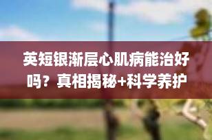 英短银渐层心肌病能治好吗？真相揭秘+科学养护指南（2025最新版）