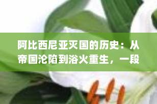 阿比西尼亚灭国的历史：从帝国沦陷到浴火重生，一段被遗忘的非洲抗争史诗
