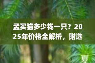 孟买猫多少钱一只？2025年价格全解析，附选购避坑指南！