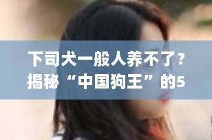 下司犬一般人养不了？揭秘“中国狗王”的5大真相，新手慎入！