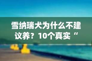 雪纳瑞犬为什么不建议养？10个真实“劝退”理由，养前必看！