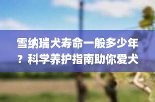 雪纳瑞犬寿命一般多少年？科学养护指南助你爱犬健康长寿