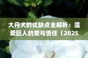 大丹犬的优缺点全解析：温柔巨人的爱与责任（2025最新养犬指南）