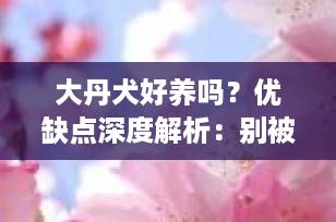 大丹犬好养吗？优缺点深度解析：别被“温柔巨人”的外表骗了！