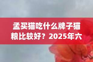 孟买猫吃什么牌子猫粮比较好？2025年六款高口碑优质猫粮推荐