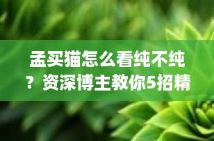 孟买猫怎么看纯不纯？资深博主教你5招精准鉴别，告别“黑猫”混淆！